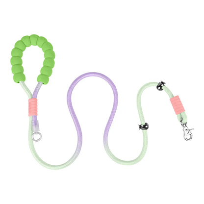 Anti-Shock No-Pull Nylon P-Chain Dog Leash — Reflective