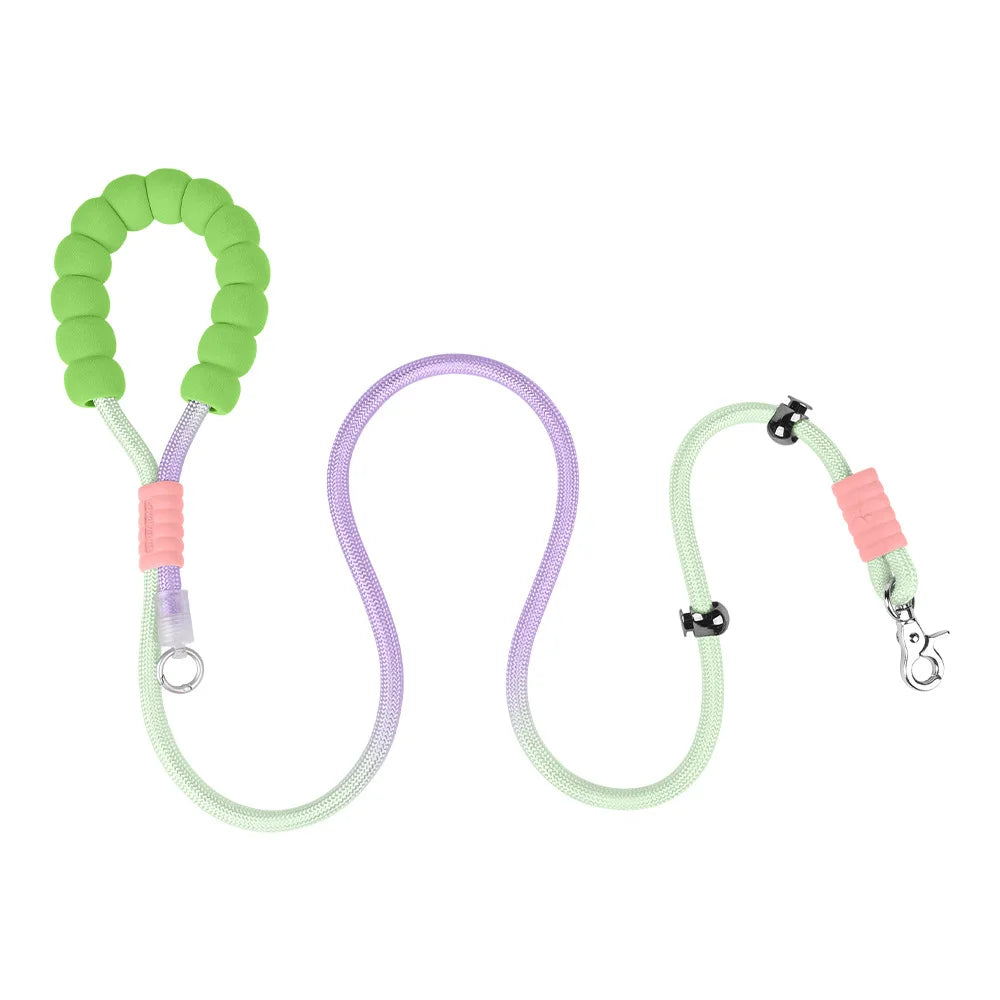 Anti-Shock No-Pull Nylon P-Chain Dog Leash — Reflective