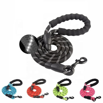 Reflective Slip Lead Dog Leash 5ft | Heavy Duty Braided Nylon