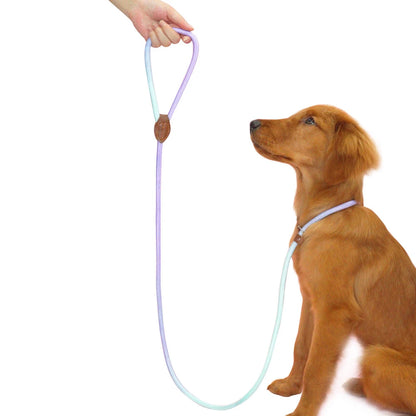 Dog Collar and Leash Set — Adjustable Nylon Pet Lead