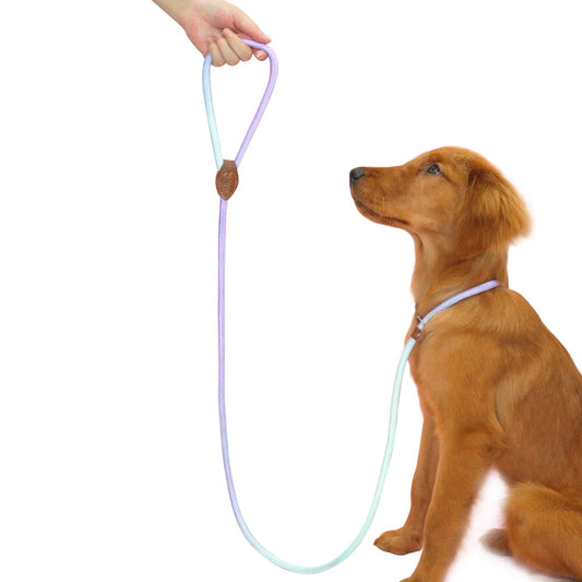 Dog Collar and Leash Set — Adjustable Nylon Pet Lead