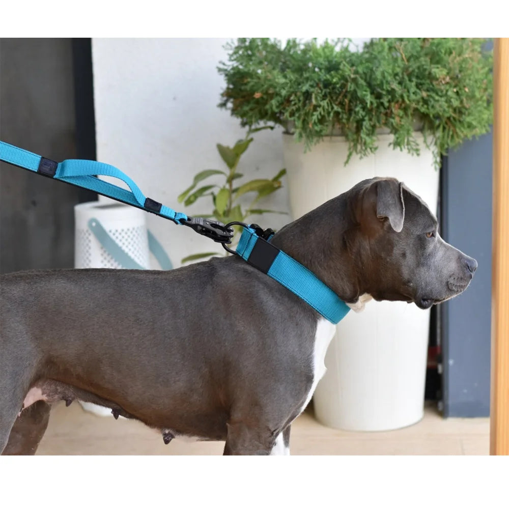 Tactical Dog Collar with Control Handle – Heavy-Duty Adjustable Nylon Collar with Metal Buckle for Large Dogs | M L XL XXL