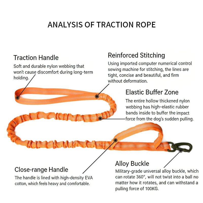 Bungee Dog Leash with Dual Handle — Anti-Shock, Padded