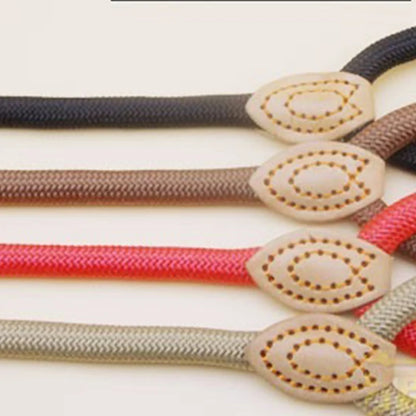 Heavy Duty Nylon Slip Lead Dog Leash — Anti-Pull, Padded Handle