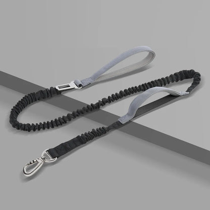 Elastic Dog Leash with Feather Decoration — Multifunctional Polyester Walking Lead 2.5cm x 125cm