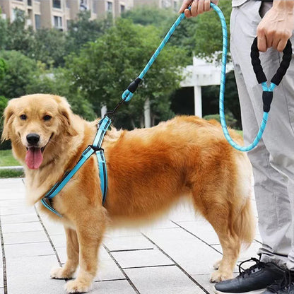 Reflective Nylon Dog Leash with Neoprene Handle Solid Lead