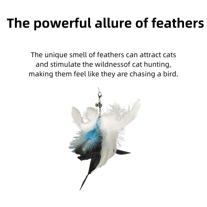 Suction Cup Cat Teaser Wand Suit | Feather Replacement Heads + 2 Sticks | 2 Bundle Options