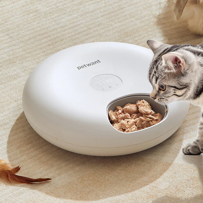 Automatic Cat Feeder with LED Screen — 6 Meals, 200ml Per Tray