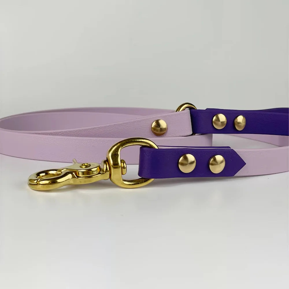 PVC Coated Dog Collar and Leash Set – Waterproof Training Collar with Brass Hardware