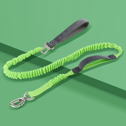 Elastic Dog Leash with Feather Decoration — Multifunctional Polyester Walking Lead 2.5cm x 125cm