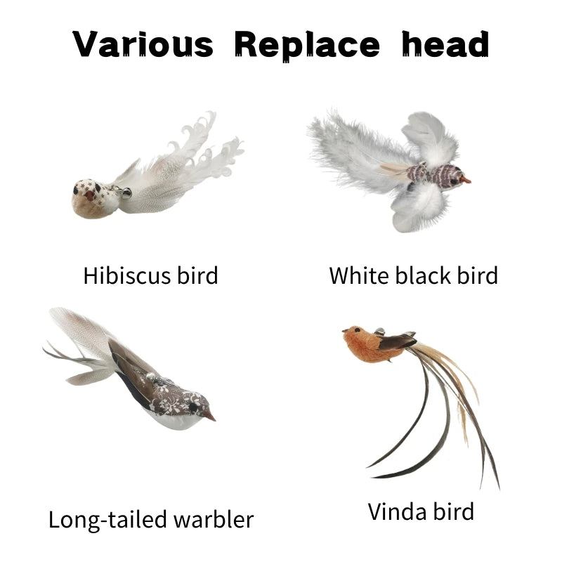 Feather Foam Bird Cat Wand Toy | Eco-Friendly Replacement Heads & Wand Poles | 6 Styles