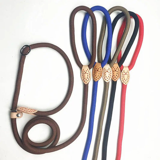 Nylon Dog Training Leash — Heavy-Duty P-Chain Lead for Outdoor Walking S M L XL