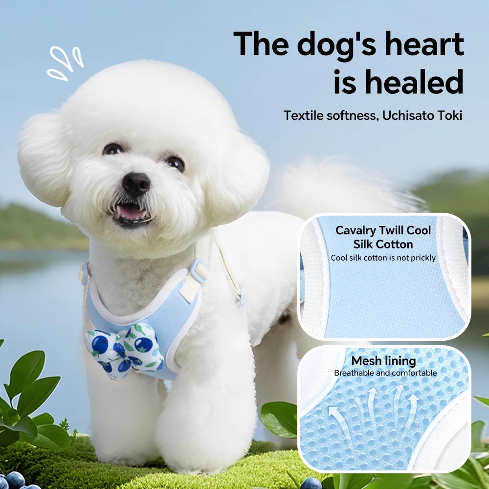 Fruit Print Breathable Dog Harness – Adjustable Mesh Vest