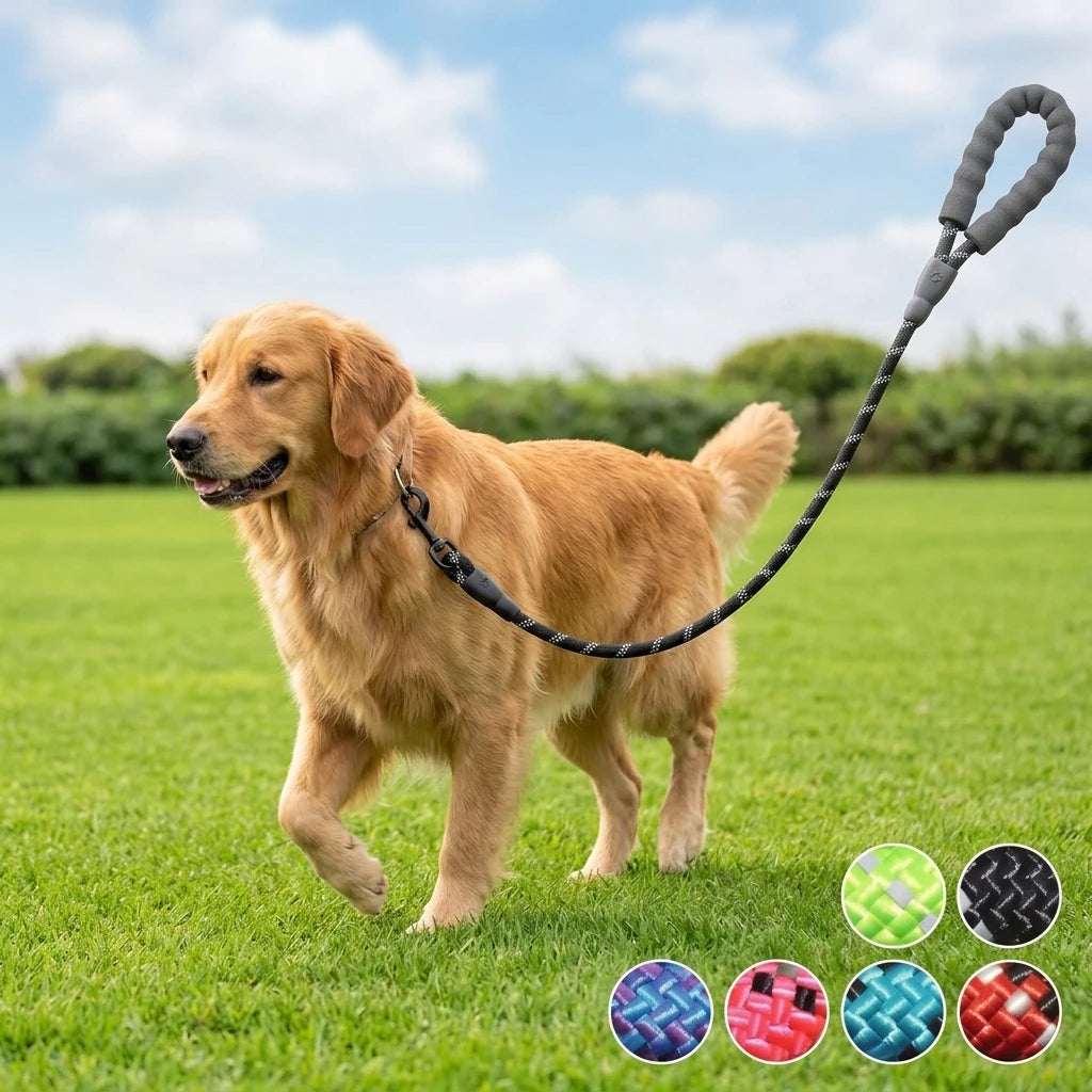 Reflective Nylon Dog Leash — Padded Handle