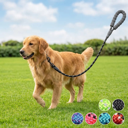Reflective Nylon Dog Leash — Padded Handle