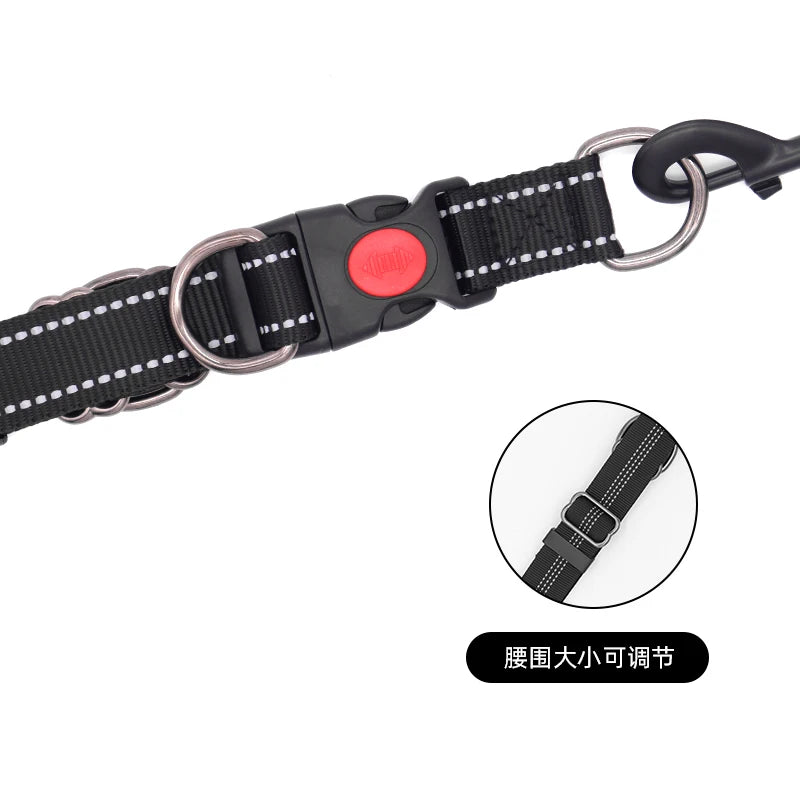 Hands-Free Dog Leash Waist Belt | Dual Handle Bungee Running Leash