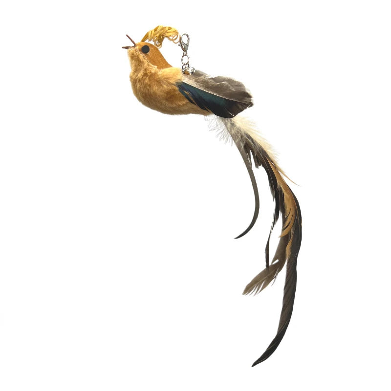 Feather Foam Bird Cat Toy with Bell | Bite-Resistant Replacement Head | 6 Styles