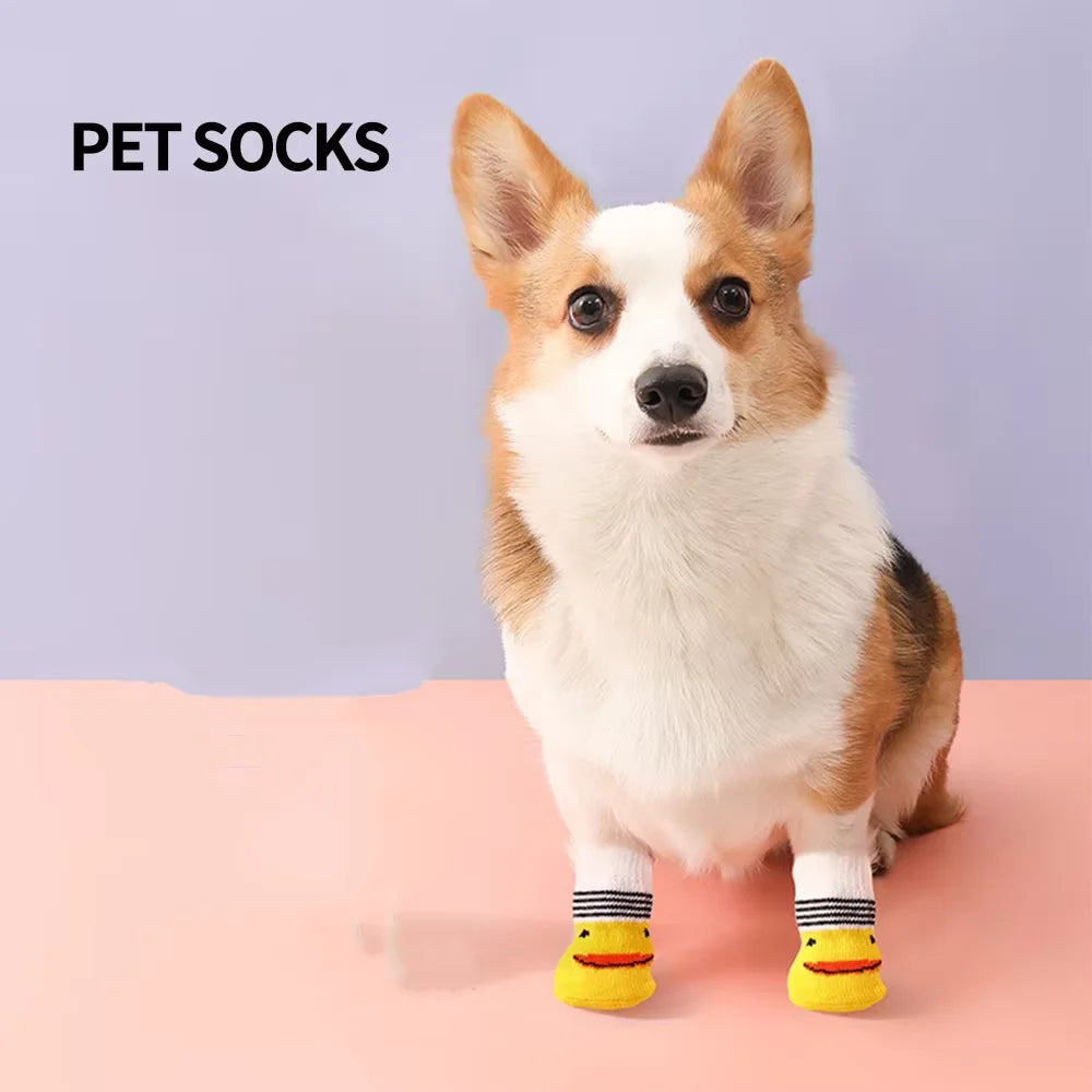 Print Non-Slip Pet Dog Socks | 6 Designs