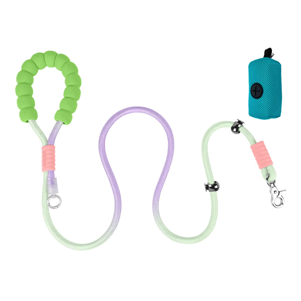 Anti-Shock No-Pull Nylon P-Chain Dog Leash — Reflective