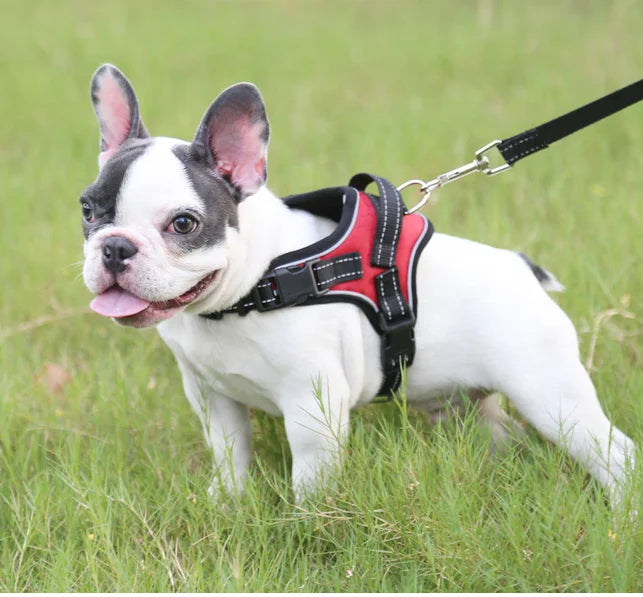 No-Pull Reversible Dog Vest Harness with Leash | Reflective Adjustable