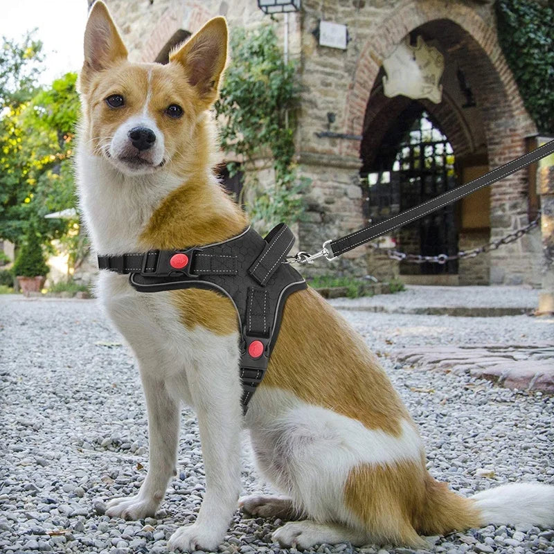 No-Pull Reversible Dog Vest Harness with Leash | Reflective Adjustable