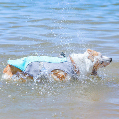 Breathable Mesh Cooling Dog Harness Vest – Sun Protection Summer Vest for Small Medium Large Dogs