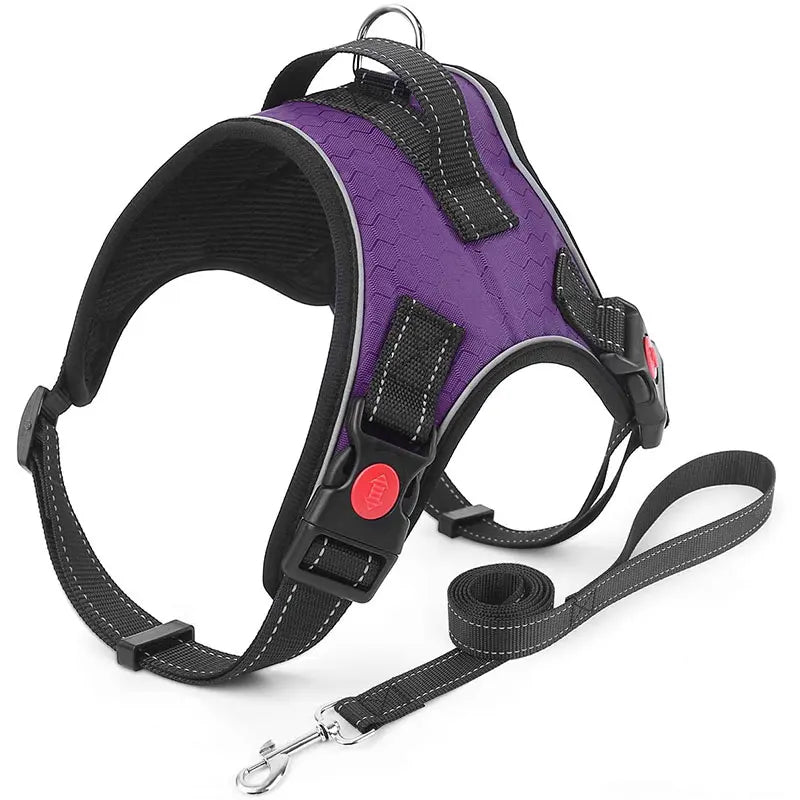 No-Pull Reversible Dog Vest Harness with Leash | Reflective Adjustable