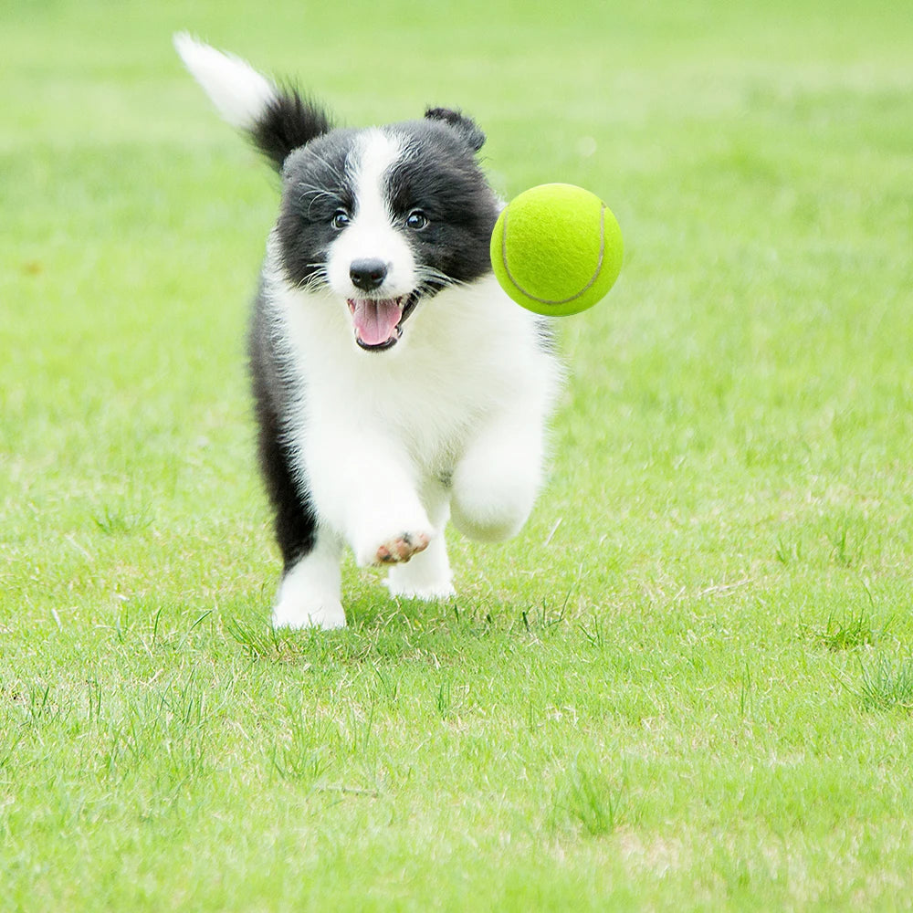 Rubber Dog Tennis Balls | 6.7cm | Durable Fetch & Chew Toy