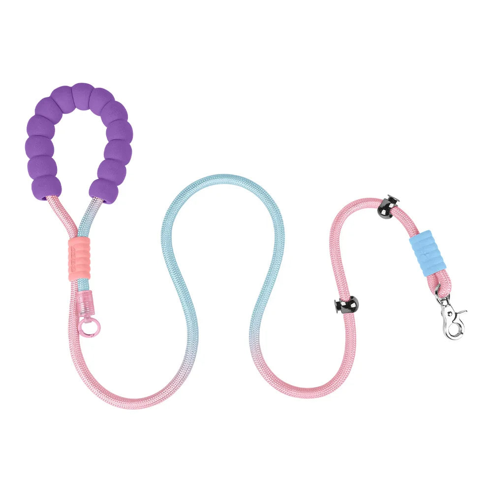 Anti-Shock No-Pull Nylon P-Chain Dog Leash — Reflective