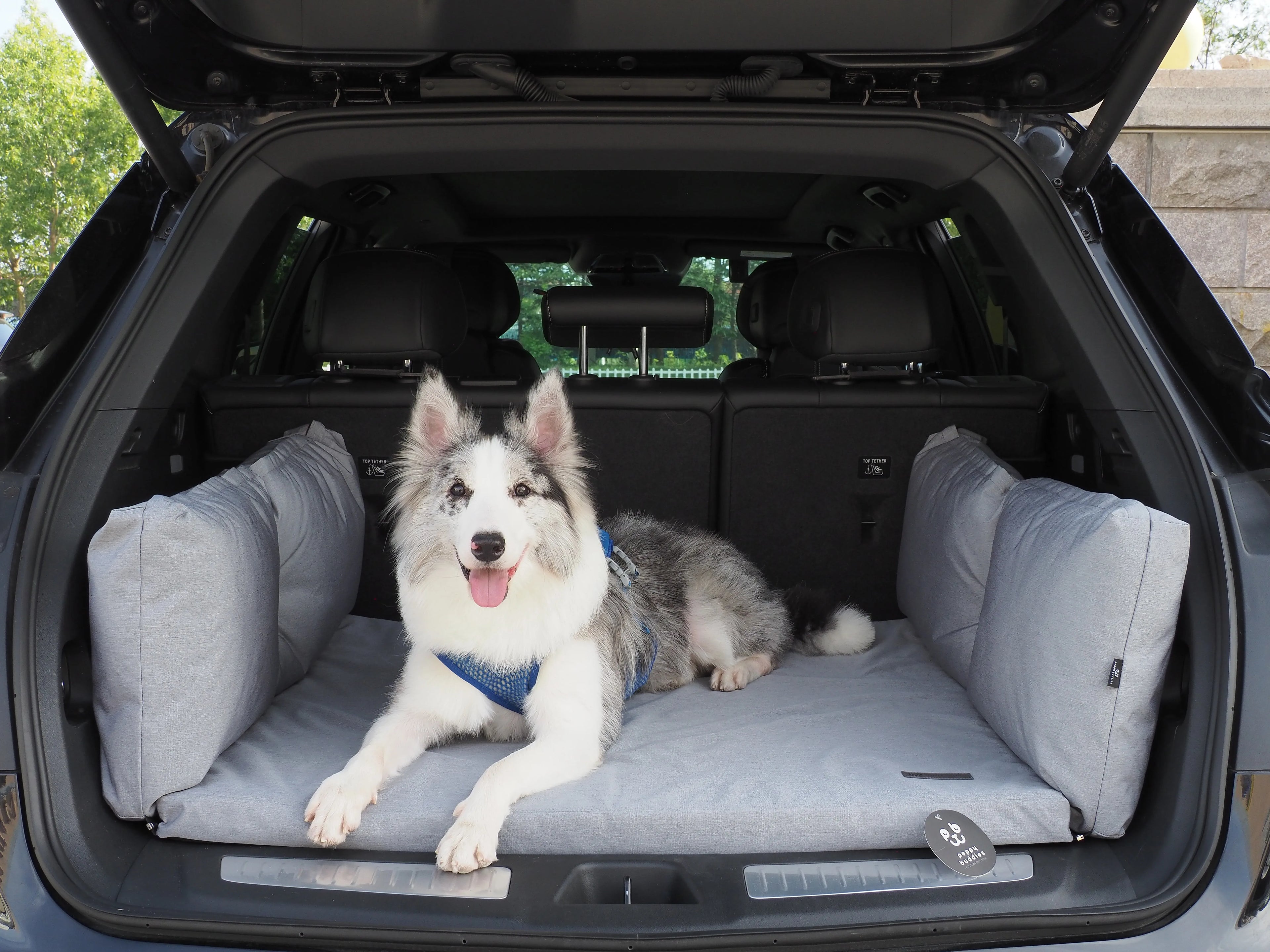Waterproof Oxford Orthopedic Pet Mat | Car Trunk Protector & Travel Dog Bed