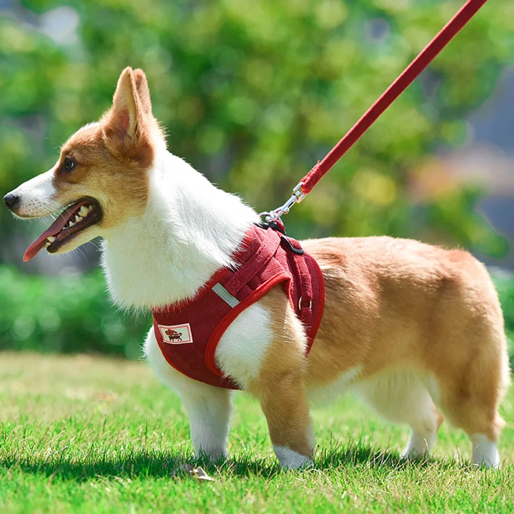 Corduroy Cat & Dog Harness Set | Soft Adjustable Vest Harness with Leash