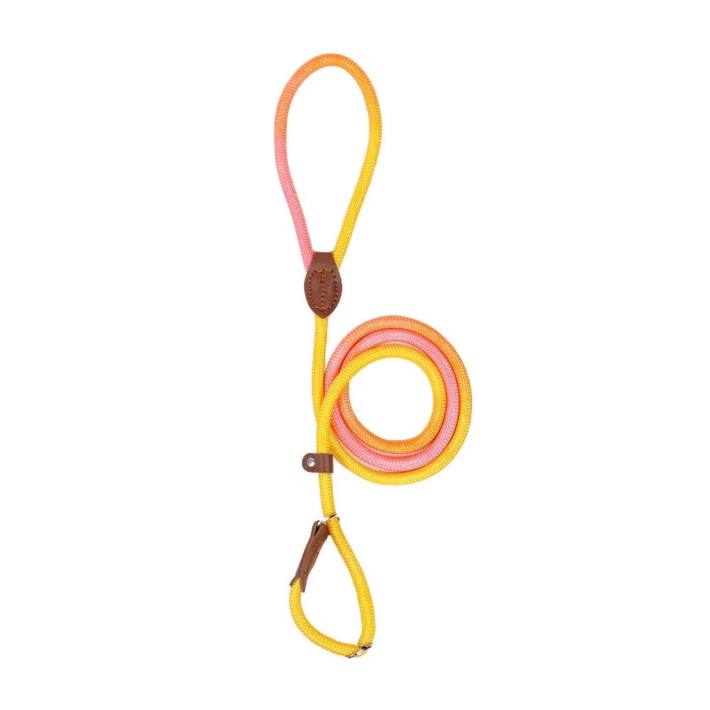 Dog Collar and Leash Set — Adjustable Nylon Pet Lead