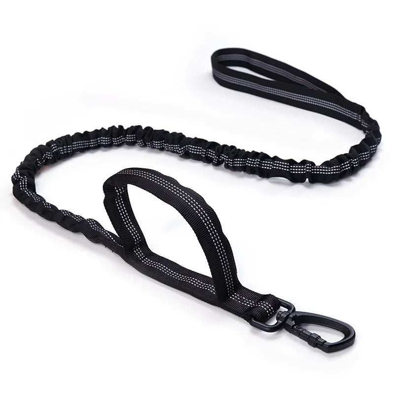 Bungee Dog Leash with Dual Handle — Anti-Shock, Padded