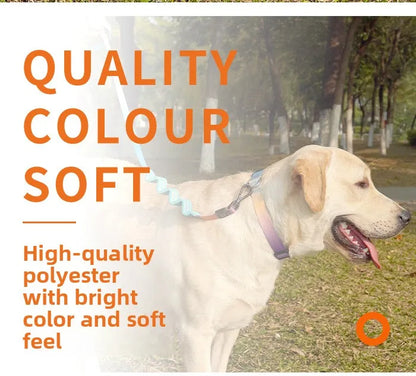 Gradient Color Dog Leash — Shock-Absorbing Polyester