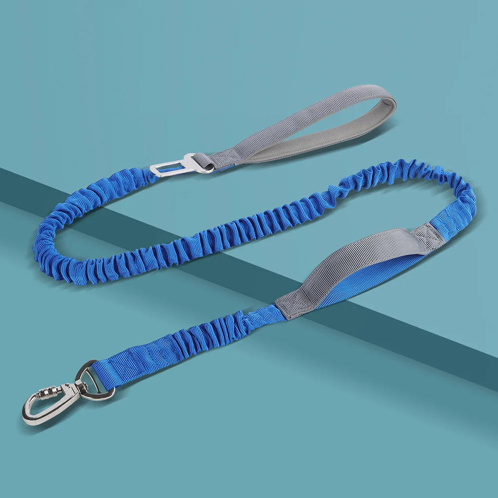 Elastic Dog Leash with Feather Decoration — Multifunctional Polyester Walking Lead 2.5cm x 125cm