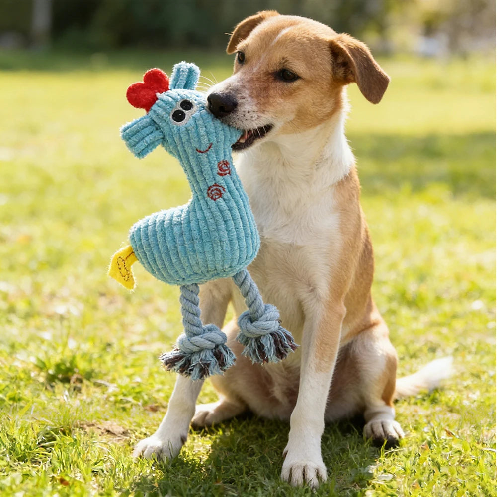 Squeaky Plush Chew Dog Toy | Pink Yellow Blue