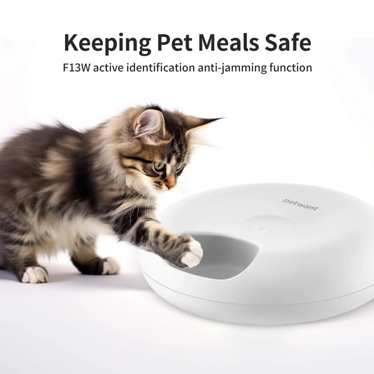 Automatic Cat Feeder with LED Screen — 6 Meals, 200ml Per Tray