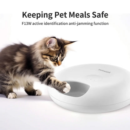 Automatic Cat Feeder with LED Screen — 6 Meals, 200ml Per Tray
