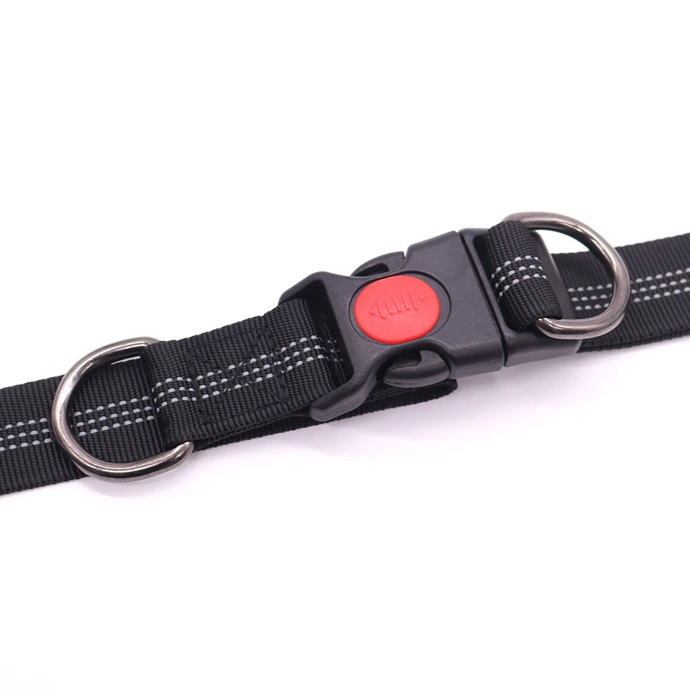 Hands-Free Running Dog Leash Waist Belt | Dual Handle Bungee Leash for Jogging