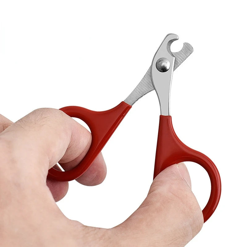 Pet Nail Clippers for Cats & Dogs – Stainless Steel Claw Trimmer with Non-Slip Handle, Small Animal Grooming Scissors